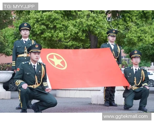 广州排球队转型纪实：从传统到现代的奋斗与蜕变之路